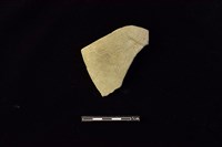 藏品(陶片)的圖片